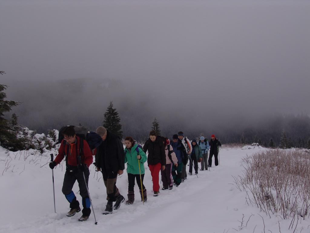 Chalet Truten Vorohta Kültér fotó