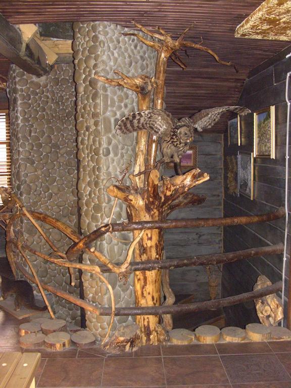 Chalet Truten Vorohta Kültér fotó